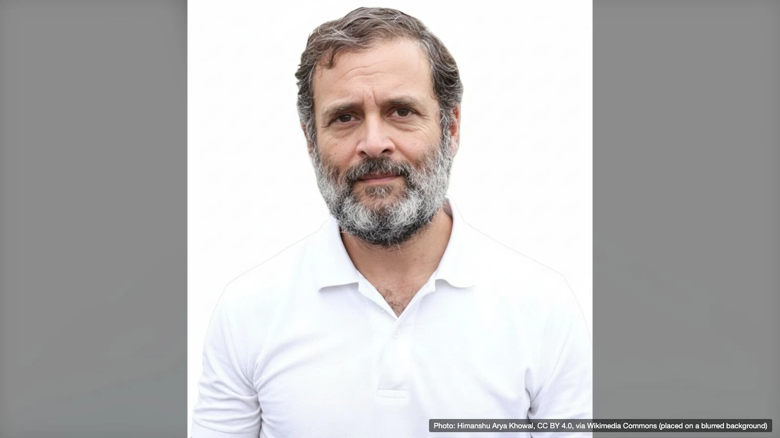 Congress leader Rahul Gandhi in a portrait photographed in March 2024